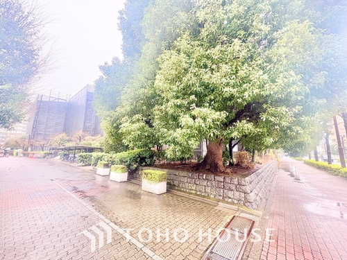 光が丘パークタウン大通り南七番街の物件画像