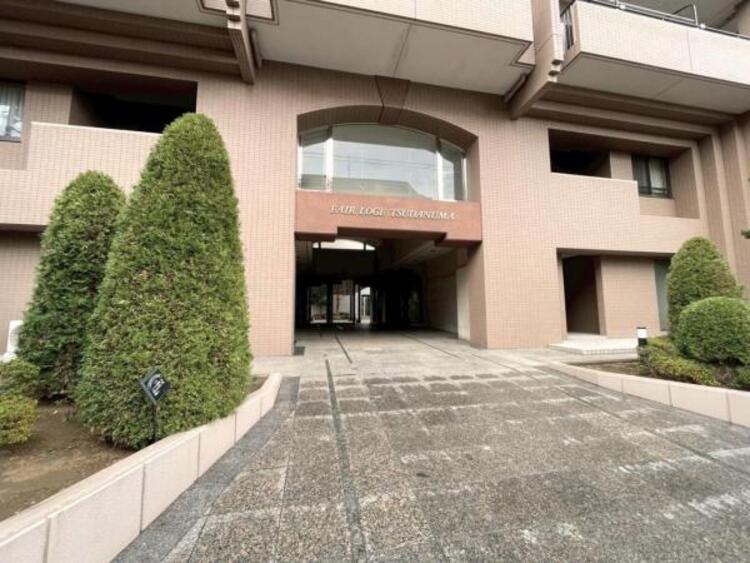 その他 緑が迎える、管理体制良好のエントランス玄関です！