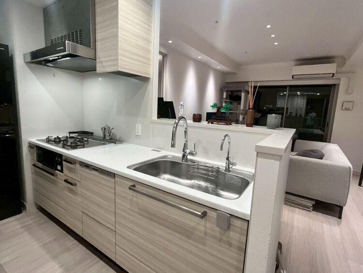 キッチン 食器洗浄乾燥機・ディスポーザー・浄水器一体型混合水栓などキッチン設備充実♪