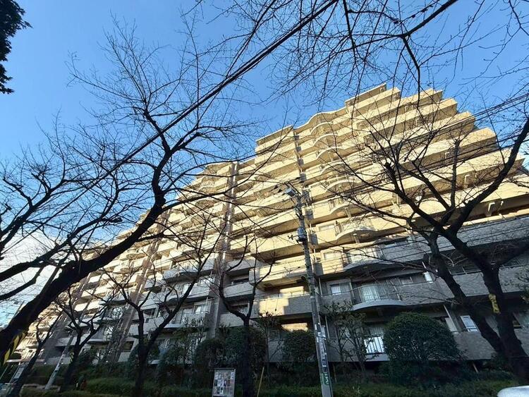 その他 飽きのこないシンプルモダンな外観です。