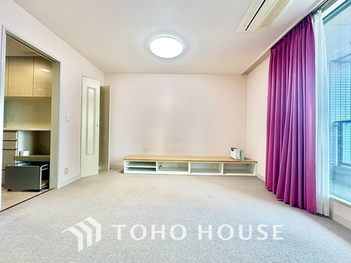 スカイライトタワーの物件画像