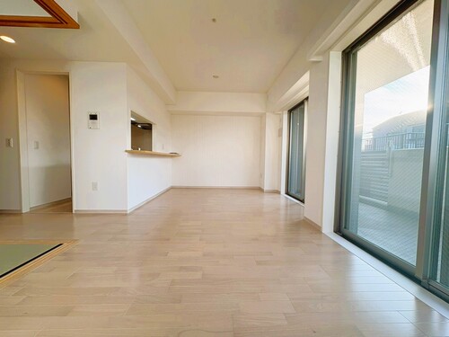 ソルフィエスタイーファの画像