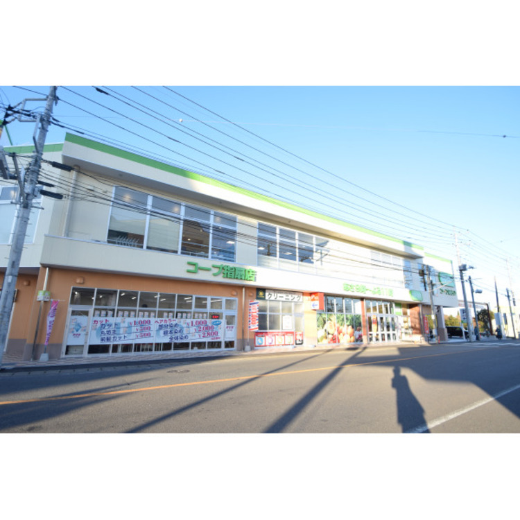 周辺 コープ指扇店(約950m)