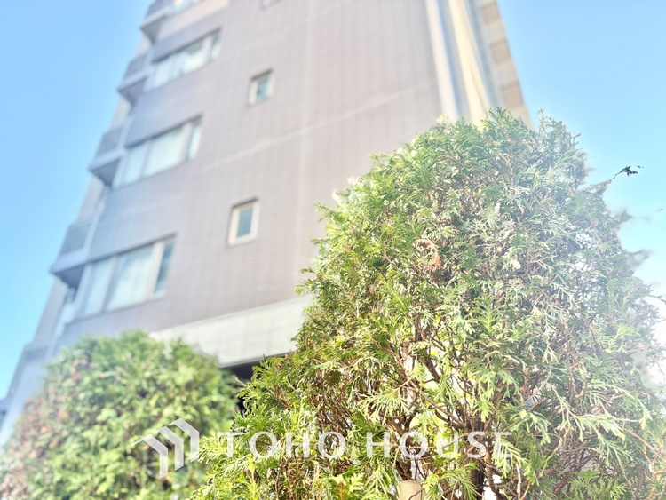 外観 明るく大きなリビングは、家族の安心と快適を育む空間。のびやかな広さが毎日の暮らしをより豊かに彩ります。