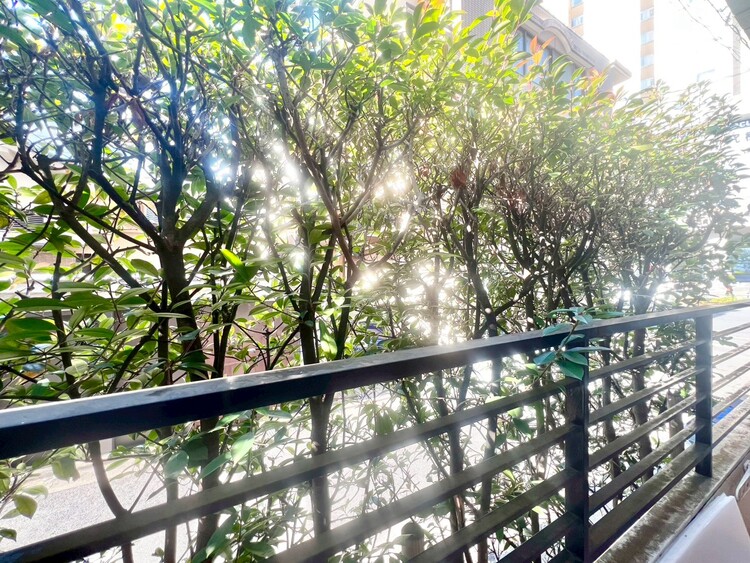 その他 陽当たり・通風・開放感に恵まれた環境です。