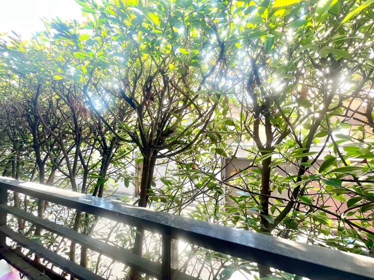 その他 眺望や窓からの景色が良いと、家で過ごす時間も快適です。