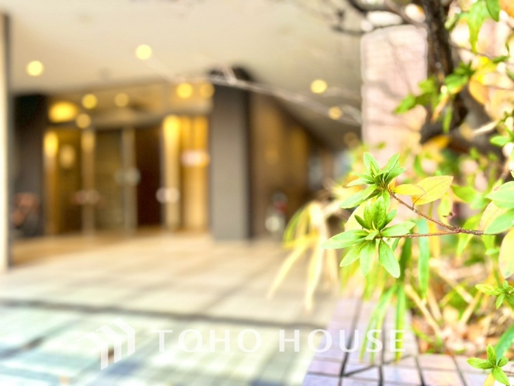 その他 【ENTRANCE】◆そびえ立つ◆我が家のシンボル。遠くの空が赤く染まる夕べが待ち遠しい。