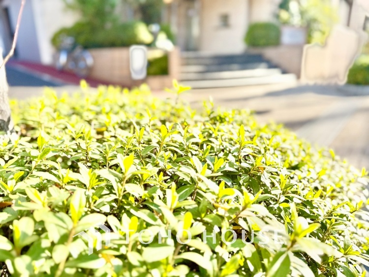 内装 ◆窓を開けると◆冷涼な風、そよぐリビング。だんらんの場所はここから始まり、ここで終わる。家族の笑顔が集う素敵な場所だから、こだわり抜いた思いが詰まっているのだと思う。