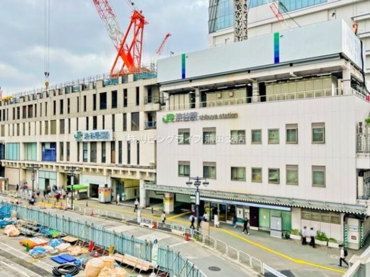 周辺 渋谷駅　700ｍ