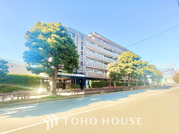 その他 【エントランス】よく手が行き届いたエントランス。出入りで必ず目にする場所だから、いつも清潔で管理されているのは嬉しいポイントですね