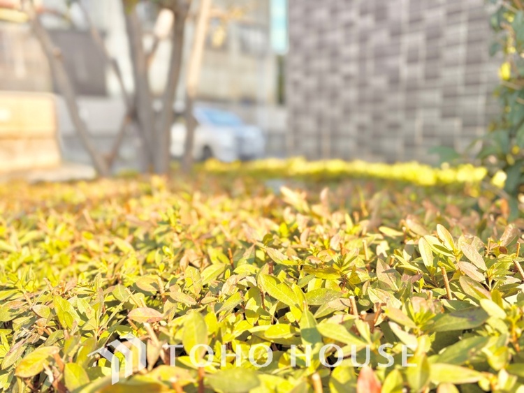 外観 ほんの少しのこだわり。ちょっとした色使いがその家がもつ雰囲気、趣（おもむき）を携え、暮らす家族や訪ねてくる友人・知人に新鮮な香りを運んできます。