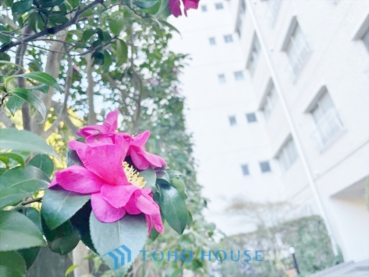 外観 ◆水面に映る◆紅葉を纏った山々を眺め、美しさのあまり感嘆のため息を漏らした事は無いだろうか。いつしか忘れかけていた自然の美しさと力強さを思い出させてくれる、そんな景色がここにもある。