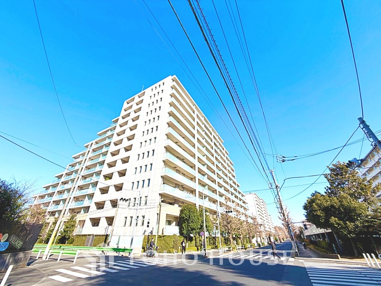 内装 触れることが出来そうな環境が、そのままインテリアに。その豊かで眩い眺望には、心地よい光と風が溢れ、ずっと眺めていたくなるような空間を演出してくれます。