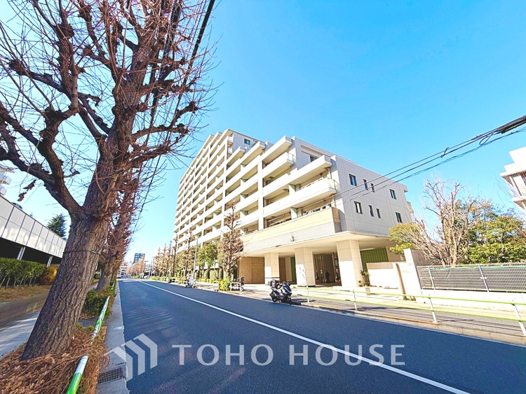 内装 太陽の光をスマートにリビングへ。優しくいざなわれた採光が朝は目を覚ませ、昼はくつろぎ、そして夕刻には温もりを与える。他にはないおしゃれなデザインで。