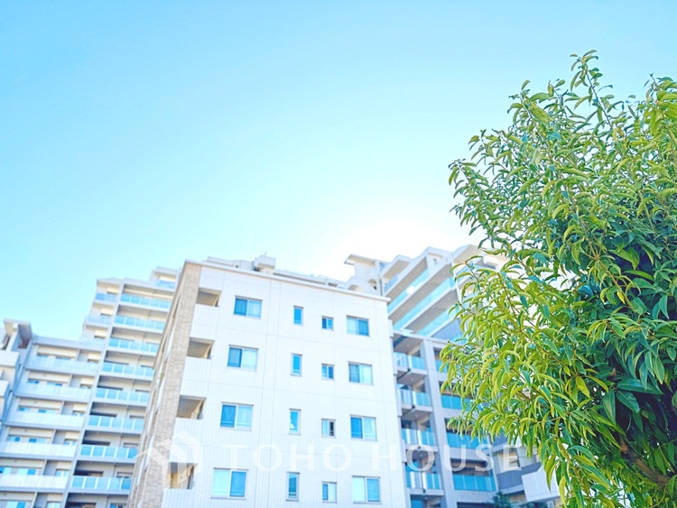内装 ◆青空テラス◆ベランダから望む紺碧の空からそよ風、そして目に映るのはグリーン広がる風光明媚な世界。それは清々しい自然の薫りを肌で感じる幸せな空間。