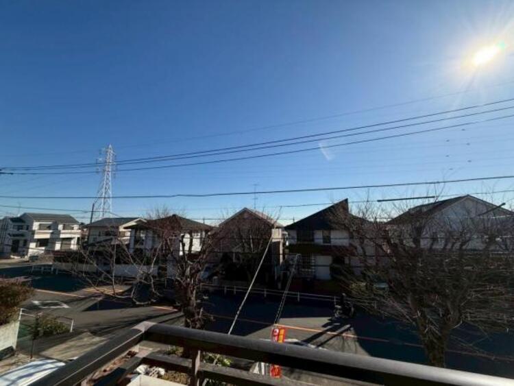 その他 【2026年01月撮影】