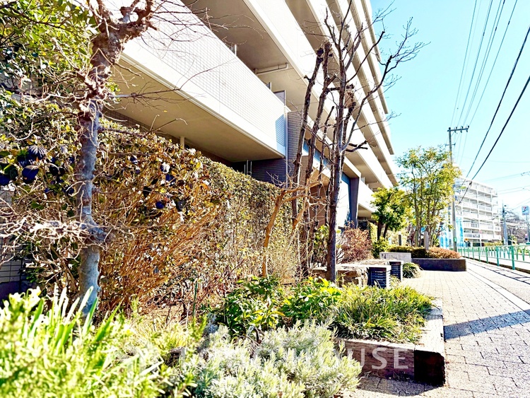 トイレ 【2026年2月下旬リフォーム完成予定！】