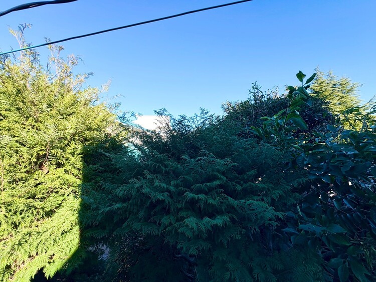 その他 陽当たり・通風・開放感に恵まれた環境です。