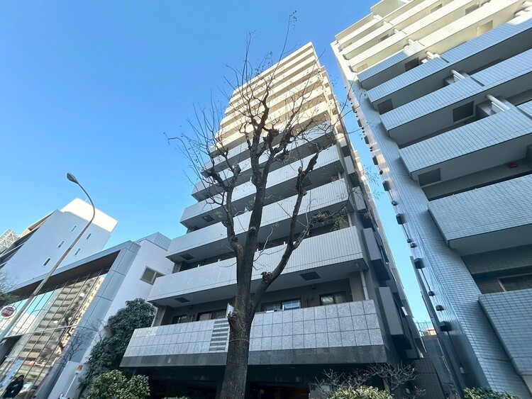 その他 忙しく過ぎゆく日常を置き去るほど、ゆったりした時間が流れる住環境。