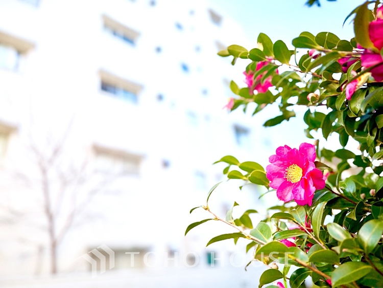 内装 趣味や仕事にも使える、柔軟な洋室スペース。ライフスタイルに合わせて活用できます。