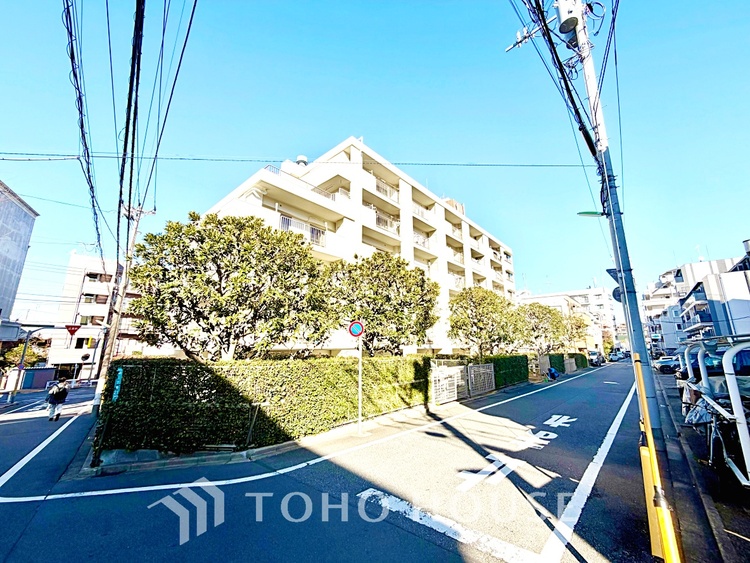 内装 触れることが出来そうな環境が、そのままインテリアに。その豊かで眩い眺望には、心地よい光と風が溢れ、ずっと眺めていたくなるような空間を演出してくれます。