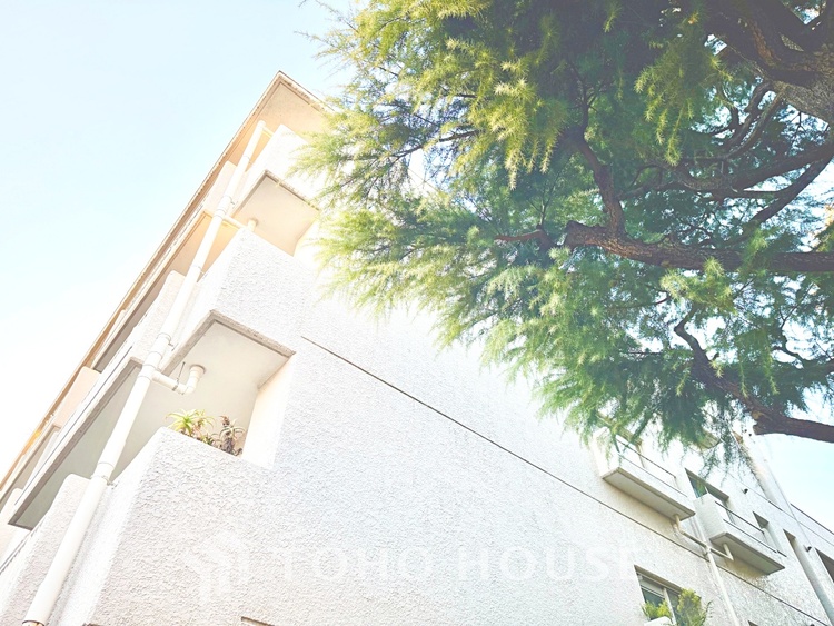 内装 収納力に優れた居室で、すっきりとした暮らしを実現。快適な生活空間が広がります。