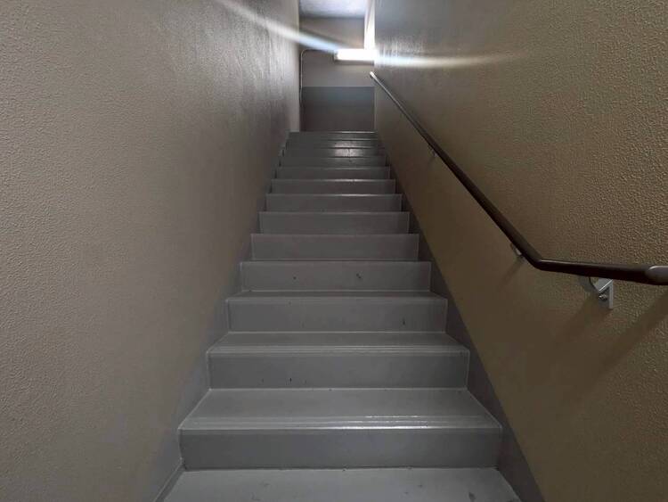 設備 共用部の階段です。明るく清潔に管理されています。