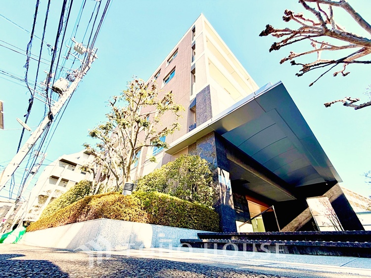 内装 触れることが出来そうな環境が、そのままインテリアに。その豊かで眩い眺望には、心地よい光と風が溢れ、ずっと眺めていたくなるような空間を演出してくれます。