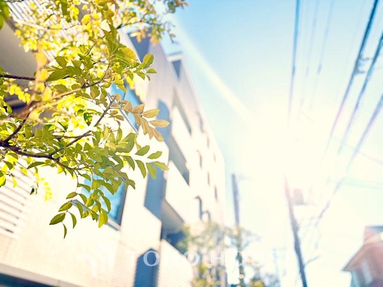 風呂 【Swaying surface】光に照らし出されたバスルーム。膨よかな湿度と静かに揺れる眼前の水面