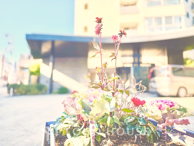 内装 触れることが出来そうな環境が、そのままインテリアに。その豊かで眩い眺望には、心地よい光と風が溢れ、ずっと眺めていたくなるような空間を演出してくれます。