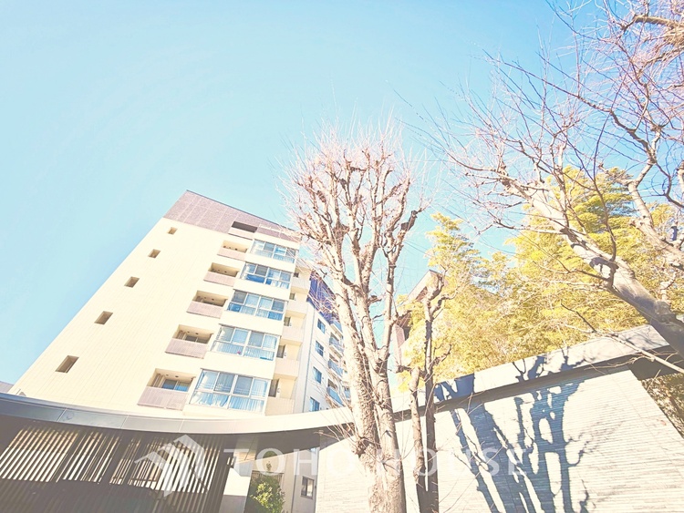 内装 太陽の光をスマートにリビングへ。優しくいざなわれた採光が朝は目を覚ませ、昼はくつろぎ、そして夕刻には温もりを与える。他にはないおしゃれなデザインで。