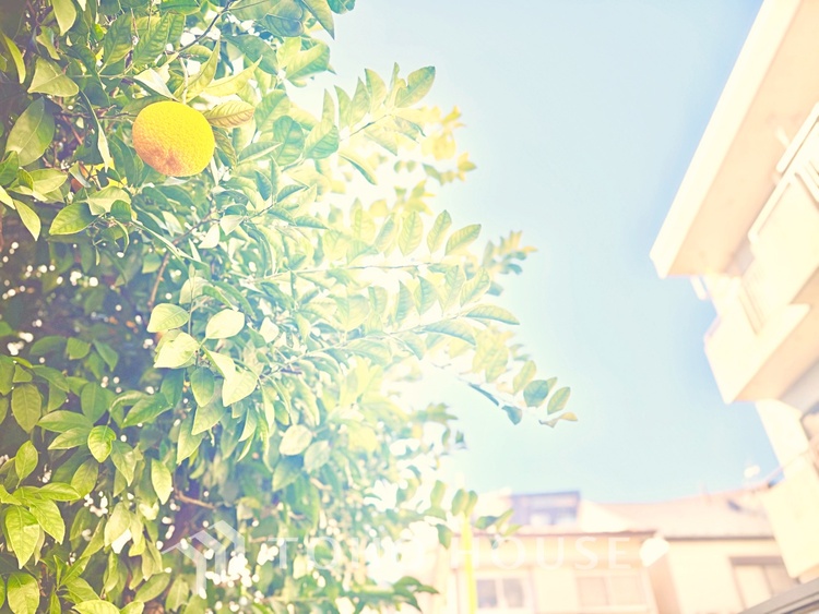 トイレ 毎日使う場所だからこそ、清潔で快適な空間を実現したトイレです。