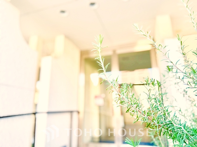 内装 シンプルで洗練されたデザインが魅力のリビング。インテリアを自由に楽しめる空間です。