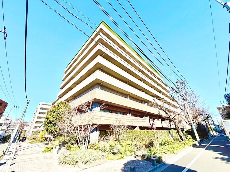 外観 【House of the Sun】太陽の温かな光がお家全体を照らす。そこには目を輝かせ笑顔で見つめてくれる君がいて、「ただいま」の言葉がこだまする。そんな君の瞳に恋している。