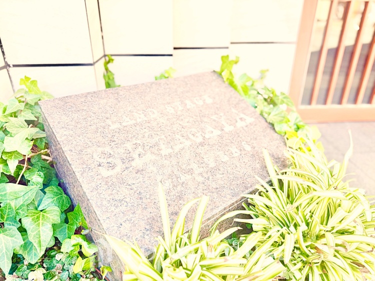 内装 触れることが出来そうな環境が、そのままインテリアに。その豊かで眩い眺望には、心地よい光と風が溢れ、ずっと眺めていたくなるような空間を演出してくれます。