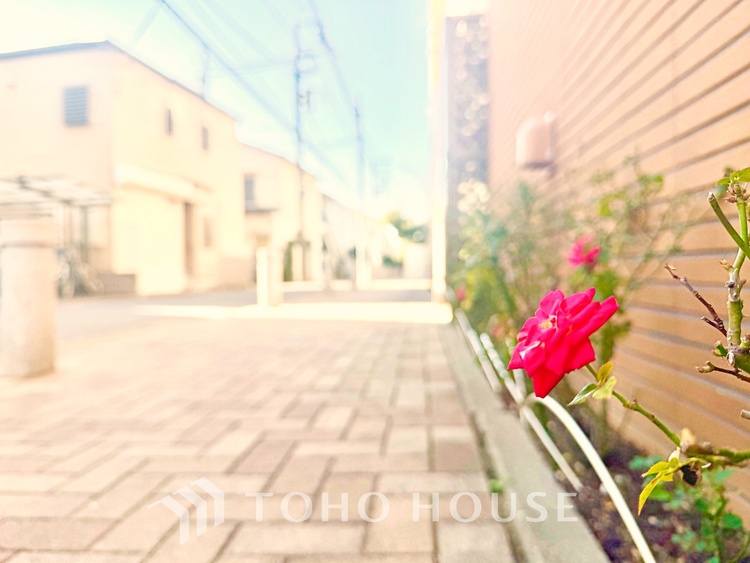 内装 太陽の光をスマートにリビングへ。優しくいざなわれた採光が朝は目を覚ませ、昼はくつろぎ、そして夕刻には温もりを与える。他にはないおしゃれなデザインで。