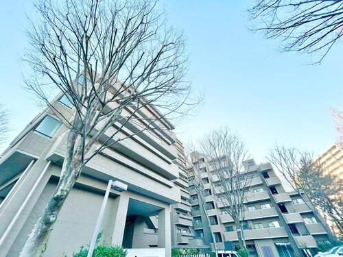 芦花公園 プレスティージュの物件画像