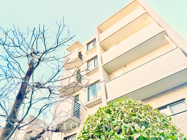 キッチン 家事動線に配慮した、効率的なキッチンレイアウト。調理も片付けもスムーズに行えます。