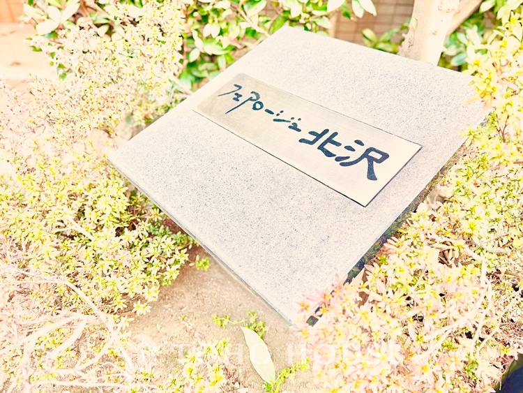 風呂 【Swaying surface】光に照らし出されたバスルーム。膨よかな湿度と静かに揺れる眼前の水面