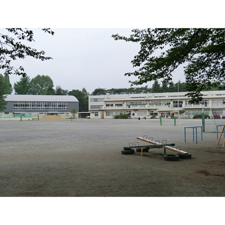 周辺 第七小学校(約1100m)