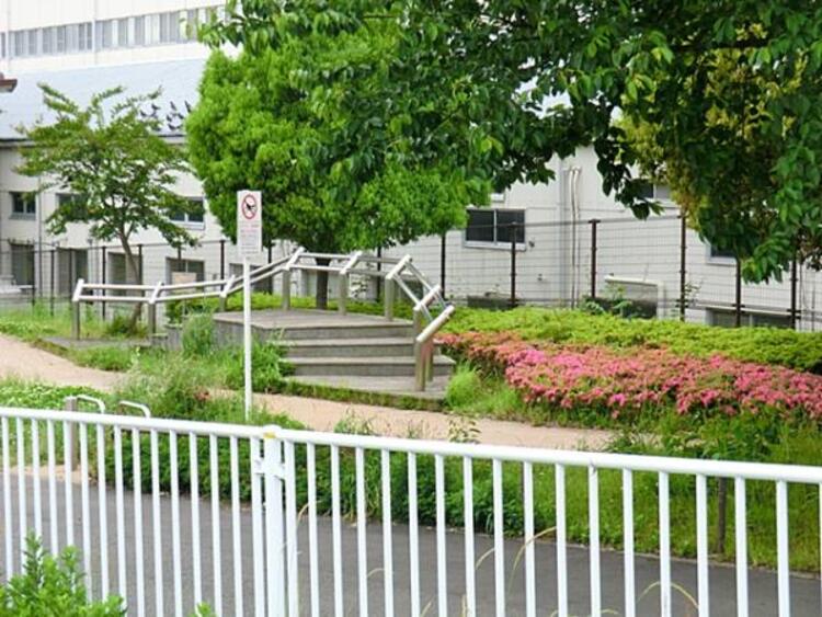 周辺 森永橘ひろば公園　320ｍ