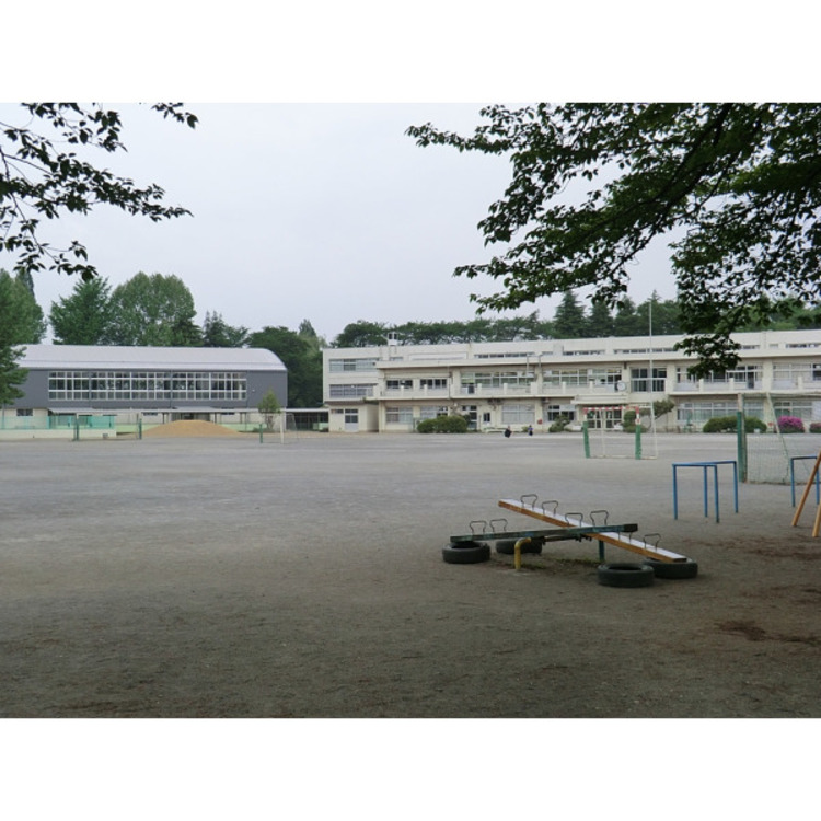 周辺 第七小学校(約1100m)