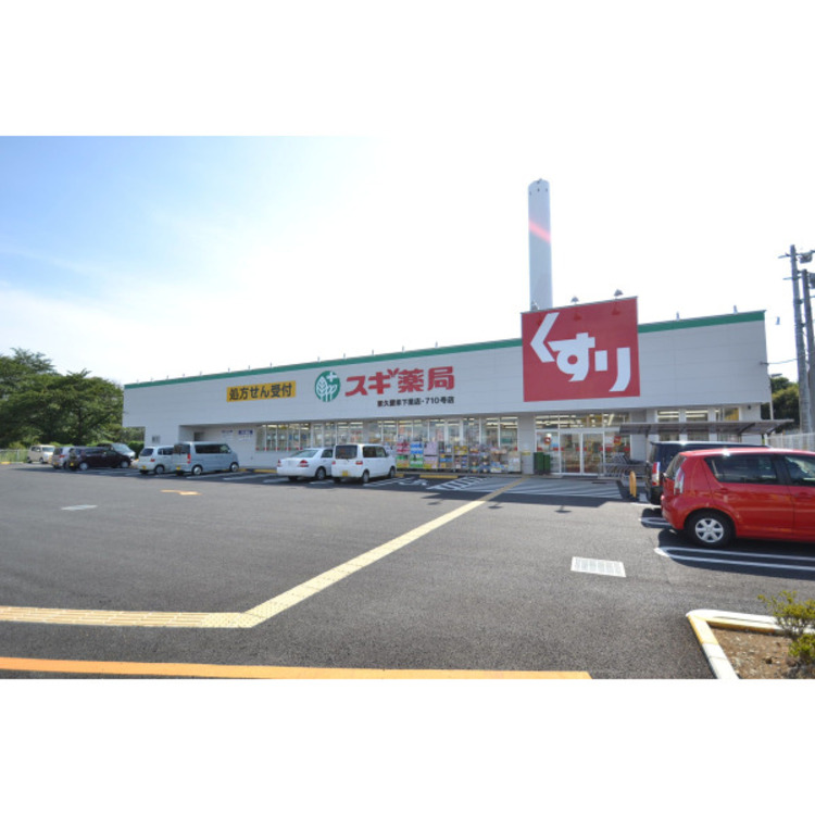 周辺 スギ薬局(約650m)