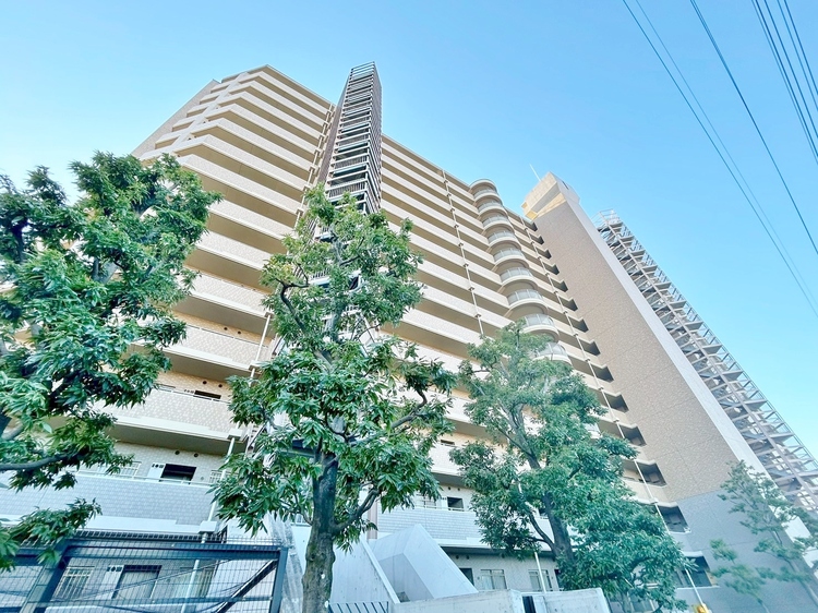 その他 忙しく過ぎゆく日常を置き去るほど、ゆったりした時間が流れる住環境。