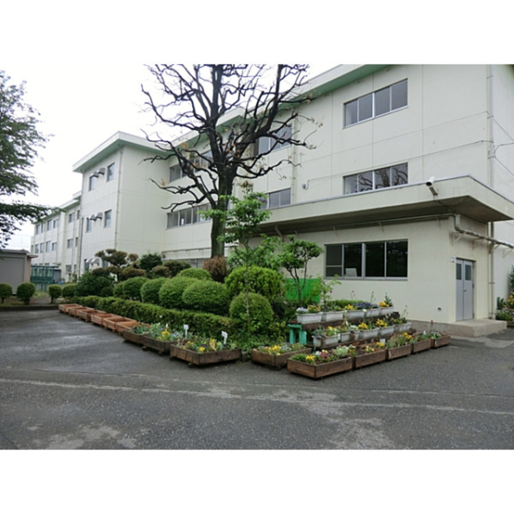 周辺 第三中学校(約800m)