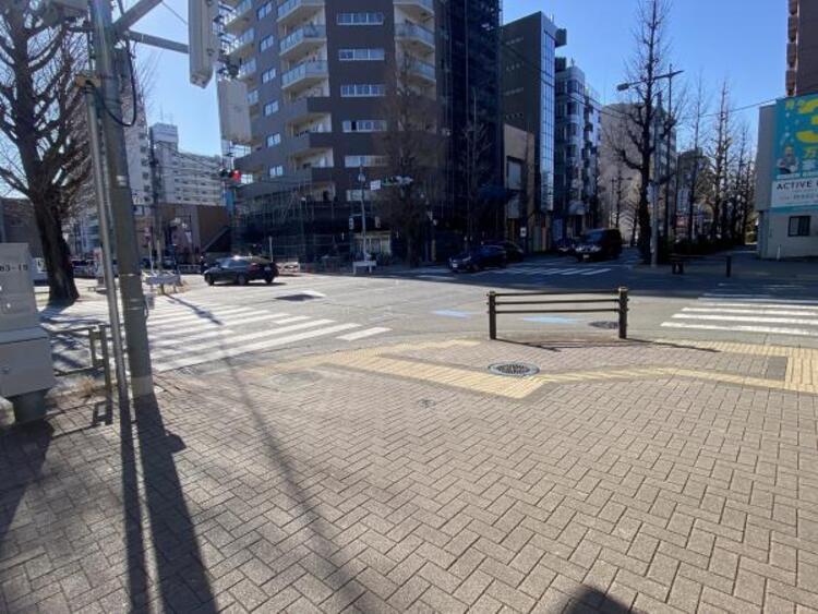 その他 【2026年12月撮影】