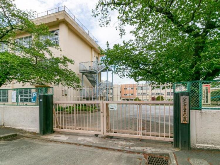 周辺 八王子市立第五小学校迄750ｍ