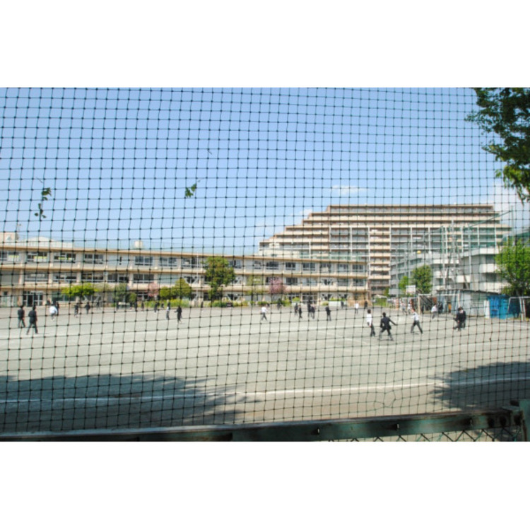 周辺 第四中学校(約800m)