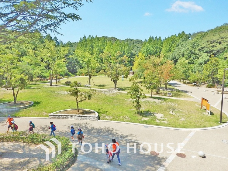 周辺 生田緑地　距離1500ｍ
