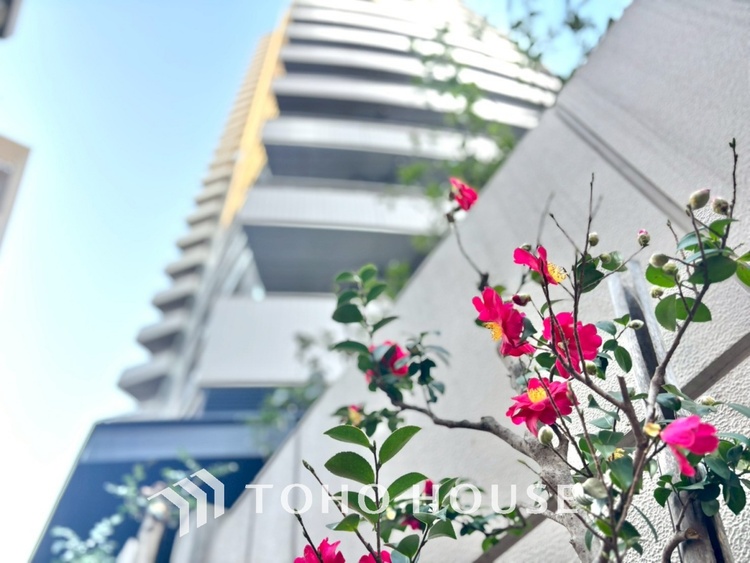 外観 【Private room】感性を育むプライベートルームはシンプルでスマートな空間。好みの空間で読書をしたり、音楽を聞いたりと一人の時間も充実したものにできます。